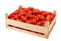 Cassetta pomodori per sugo