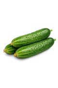 Cetrioli Sanremo