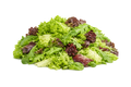 Insalate