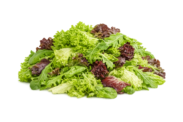 Insalate