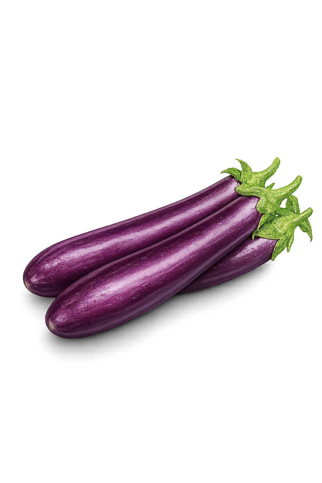 Melanzane lunghe Albenga