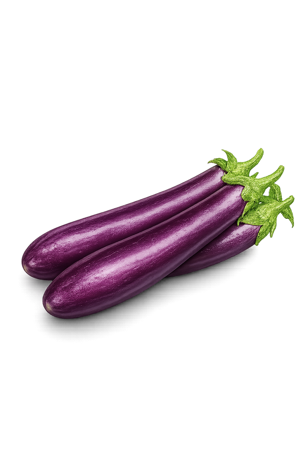 Melanzane lunghe Albenga