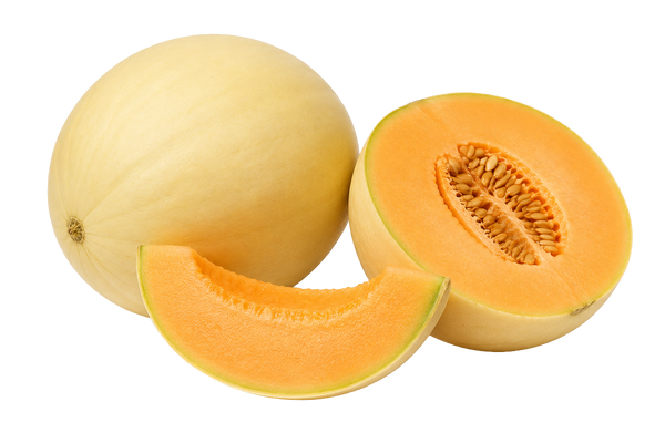 Melone liscio Mantova