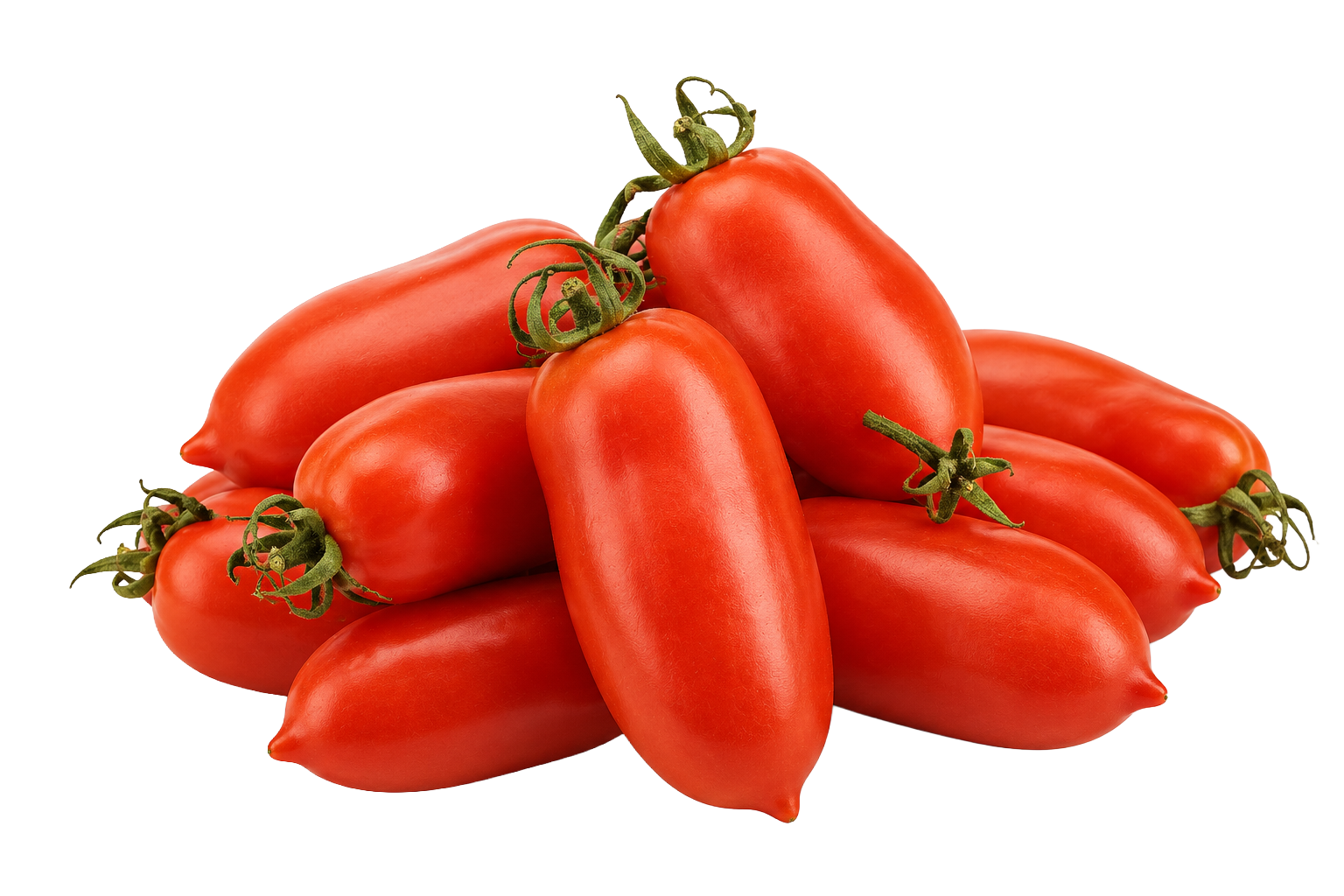 Pomodori San Marzano Andora
