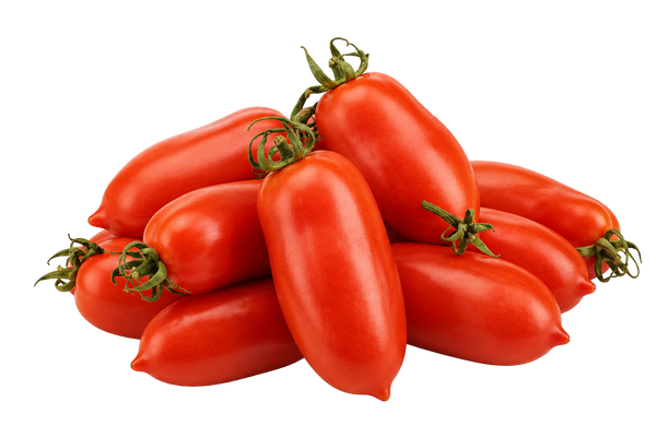 Pomodori San Marzano Andora