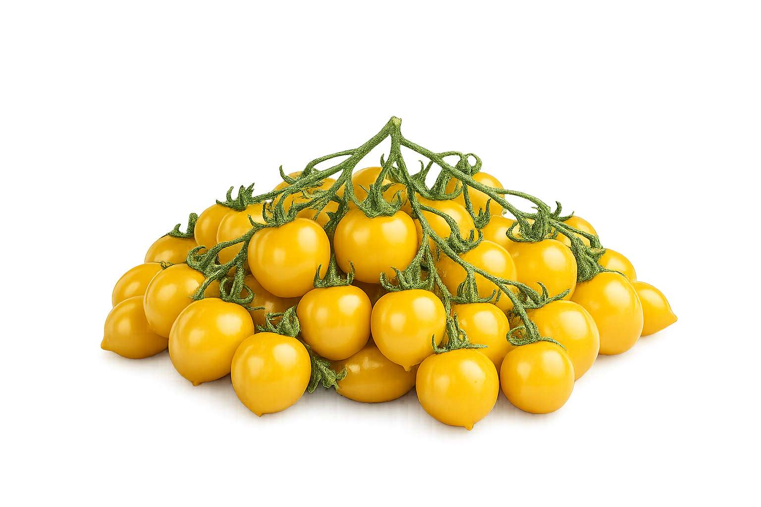 Pomodorini Ciliegino giallo Sanremo
